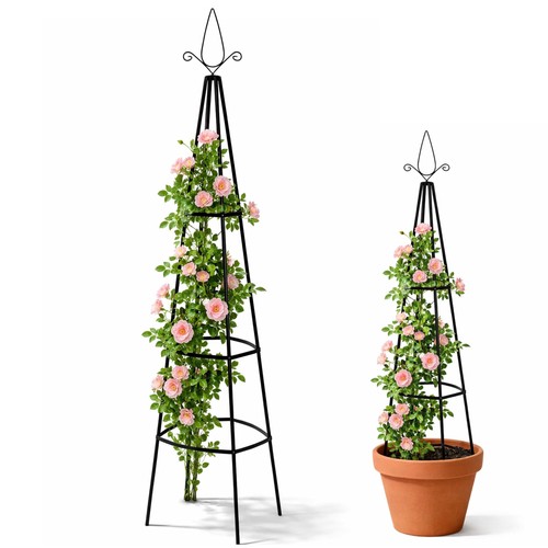 Pack metal garden trellis - 2,
