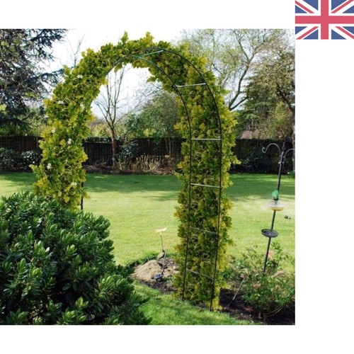 Steel garden rose - 2.4m,