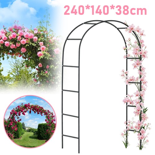 Climbing plant archway garden - archway,