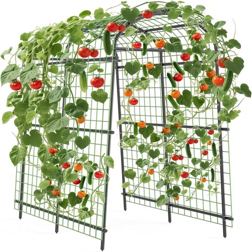 Metal garden arch - 2.3,