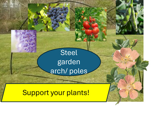Metal garden arch arches - metal,