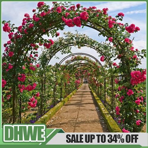 Garden arch trellis - m,