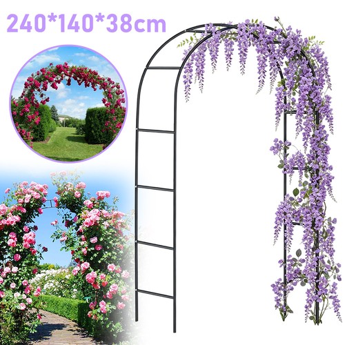 Rose arch climbing plant - climbing,