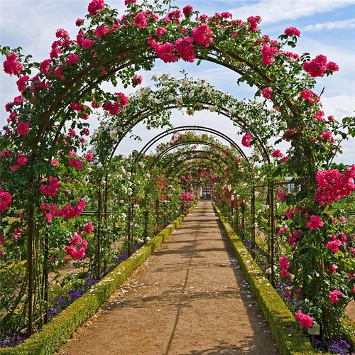 Heavy duty metal garden arch - duty,