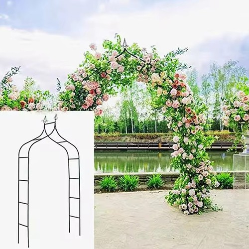 Garden arch rose climbing - 2.5m,