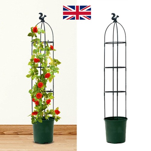 Garden obelisk outdoor - obelisk, trellis