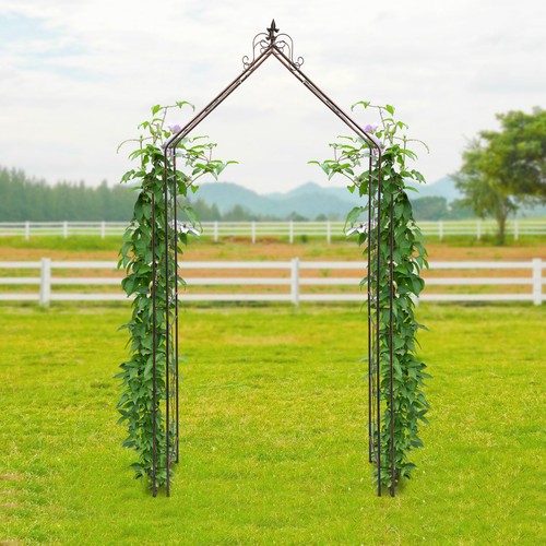 Garden trellis for - trellis,