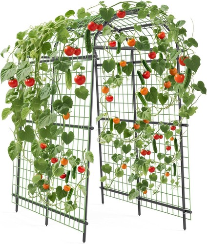 5ft metal garden arch - metal,