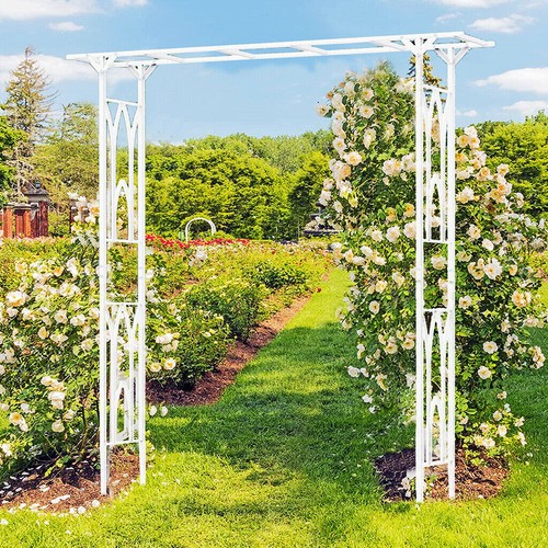 Large tall garden - large, &