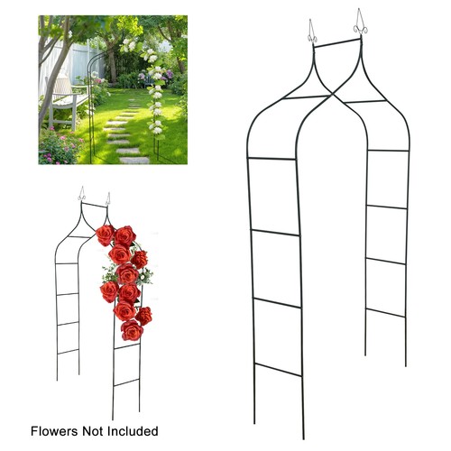 Metal garden arch - garden, rose