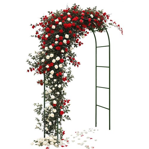 Garden arch trellis - garden,