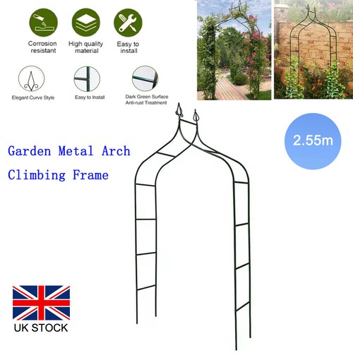 Metal garden arch rose plant - garden,