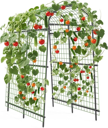 Metal garden arch trellis - arch,