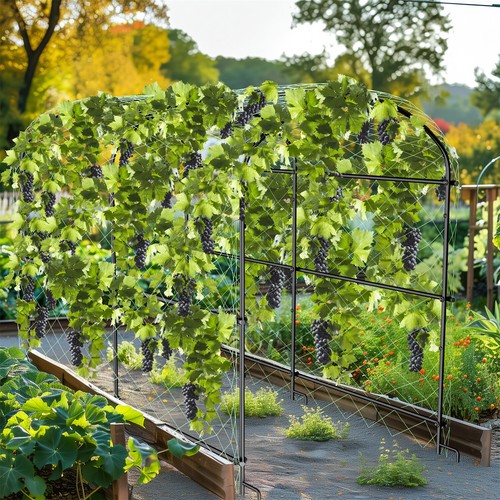 Large garden arch - ﻿,